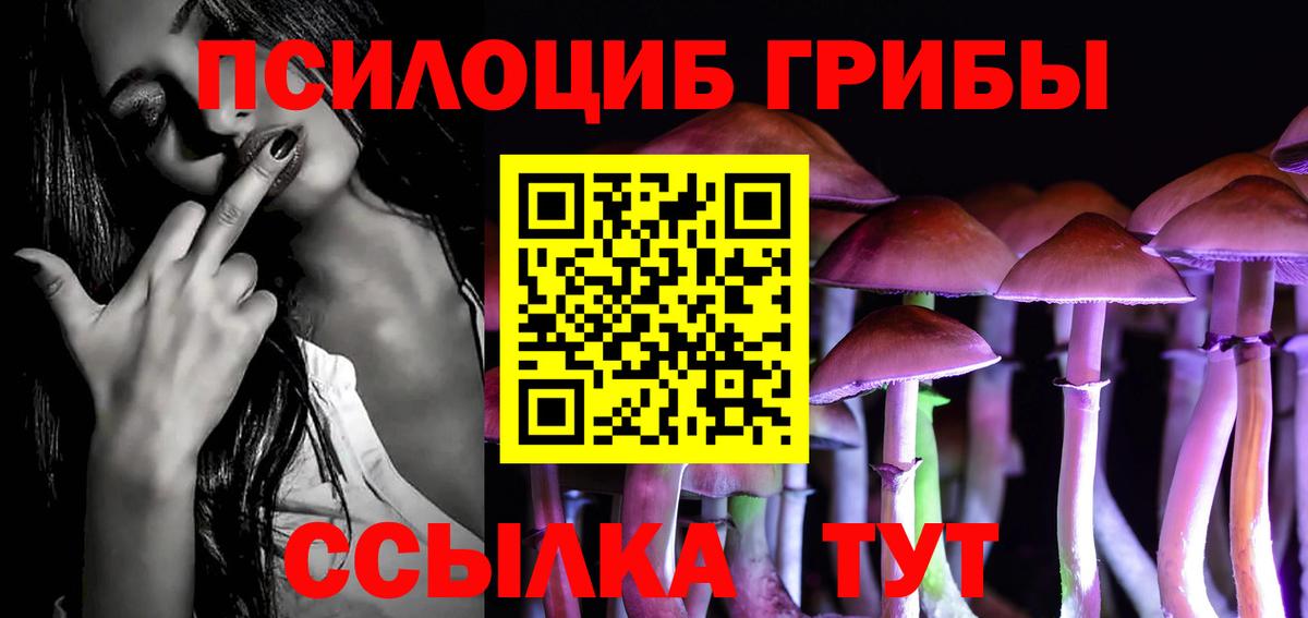 Галлюциногенные грибы Psilocybe  Вход с VPN  Галлюциногенные грибы Cubensis  Лесозаводск 